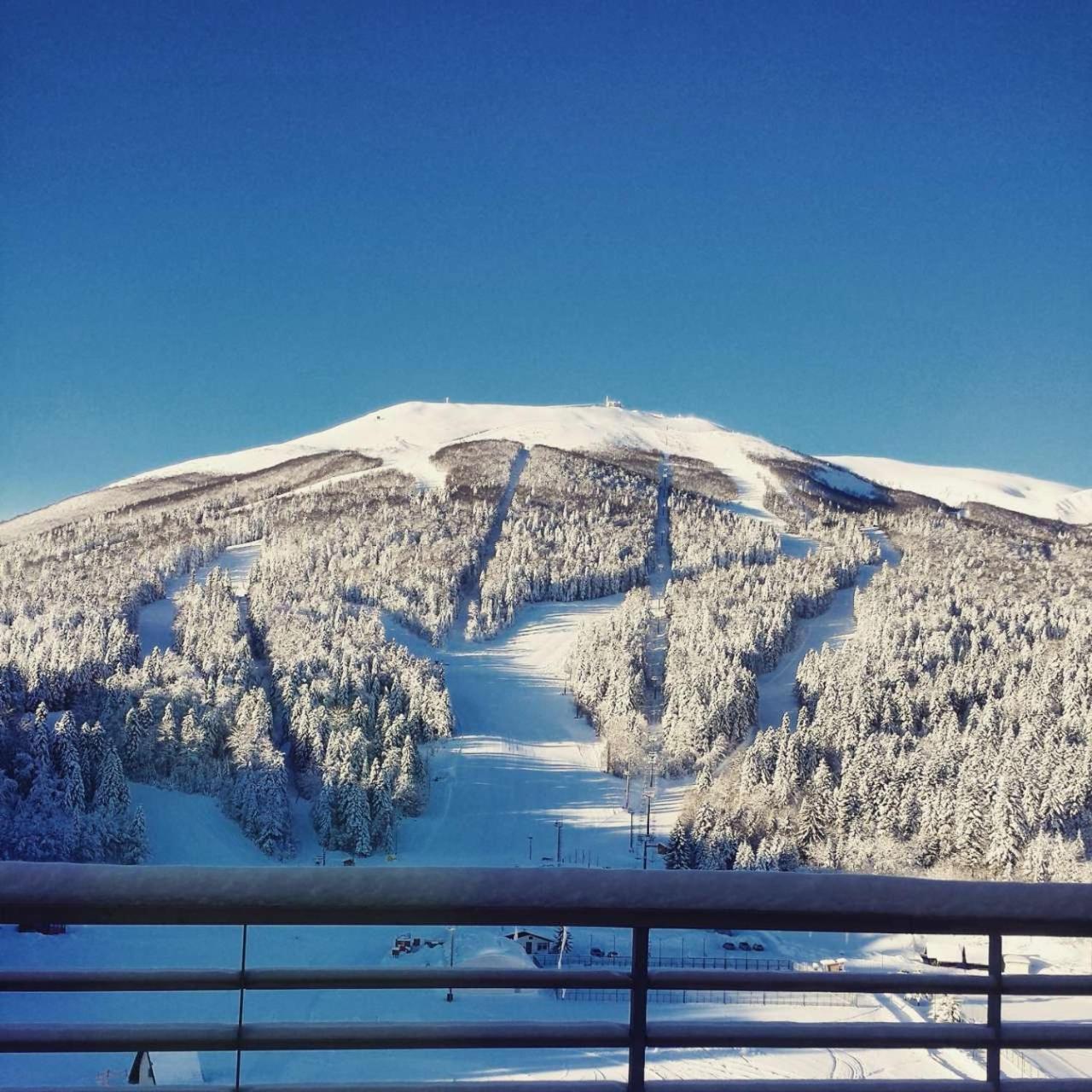 Apartman "Chardak" Bjelašnica エクステリア 写真